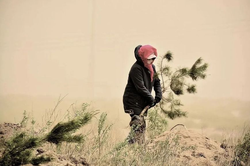 内蒙古通辽市科尔沁区：绿“锁”黄沙，刷新“生态颜值”！