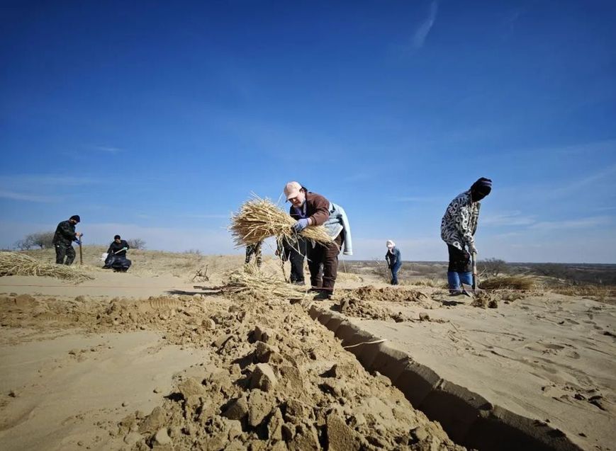 内蒙古通辽市科尔沁区：绿“锁”黄沙，刷新“生态颜值”！