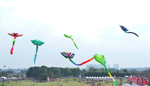 第五届全国传统风筝锦标赛在四川崇州开赛
