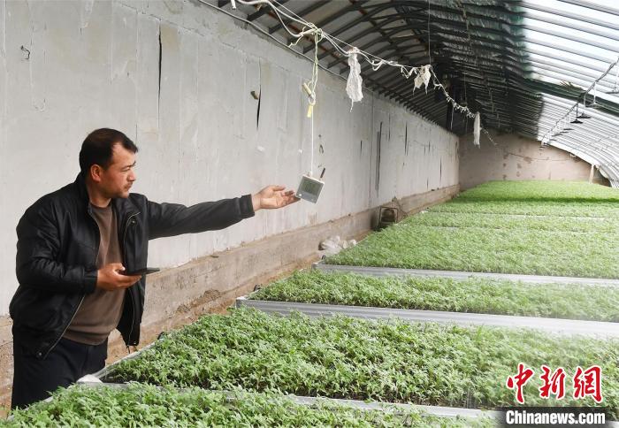 新疆兵团：春管春种正当时 科技赋能跑出“加速度”
