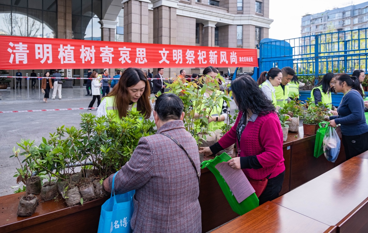 倡导文明祭祀 重庆渝北区林业局连续五年开展免费送苗活动