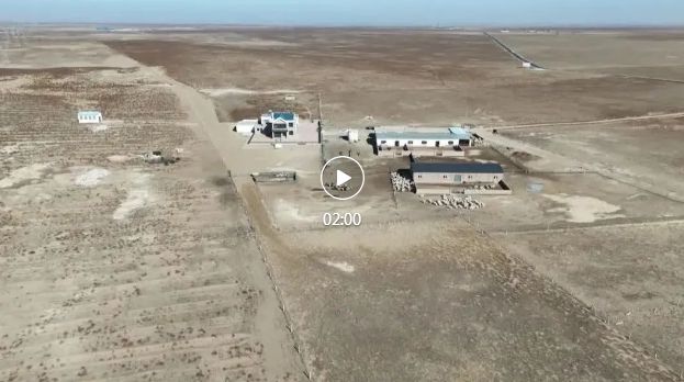 内蒙古鄂尔多斯市鄂托克旗2067万亩草场正式开启“带薪休假”模式