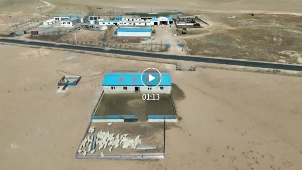 内蒙古鄂尔多斯市鄂托克旗2067万亩草场正式开启“带薪休假”模式