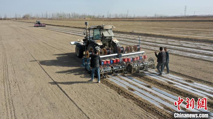 科技赋能智慧种田 新疆沙雅县170万亩棉花开播