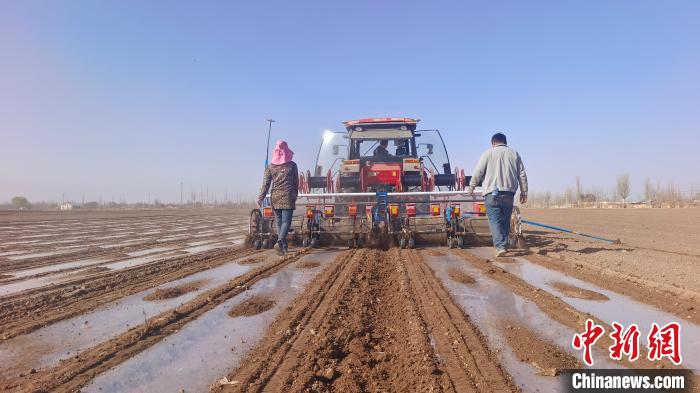 （乡村行·看振兴）新疆巴楚：“硬核科技”助农播种“幸福花”