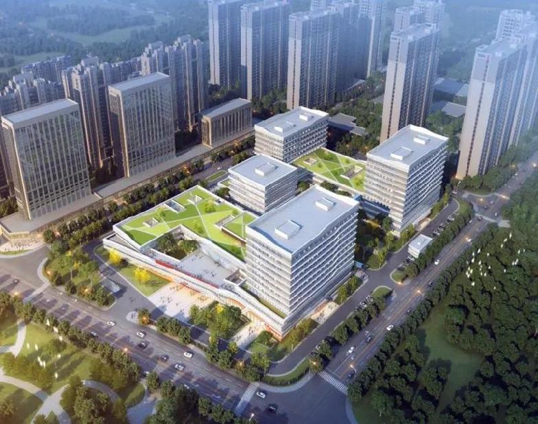 陕西西咸新区能源金贸区进一步优化人居环境