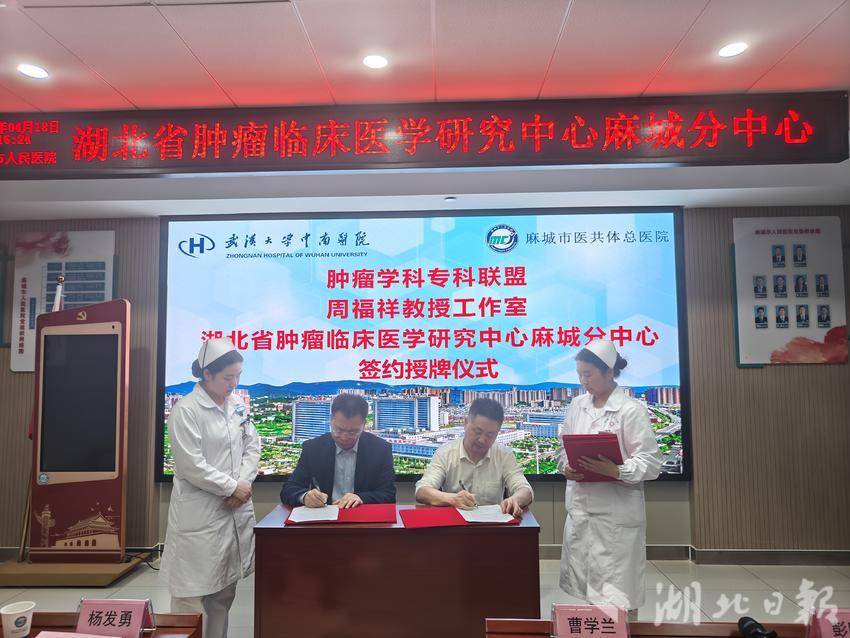 武汉大学中南医院与麻城市人民医院成立肿瘤学科专科联盟