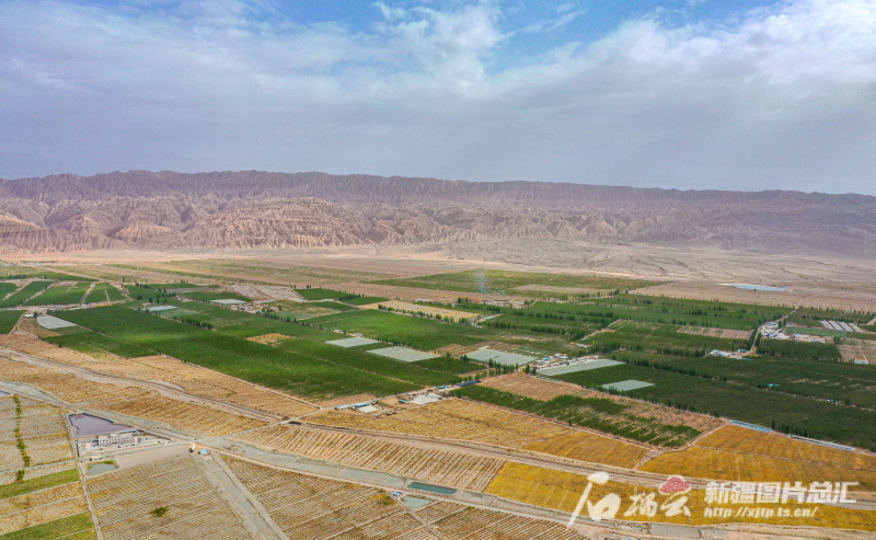 航拍新疆丨戈壁荒原变绿洲果园 阿克苏地区加快发展特色林果产业