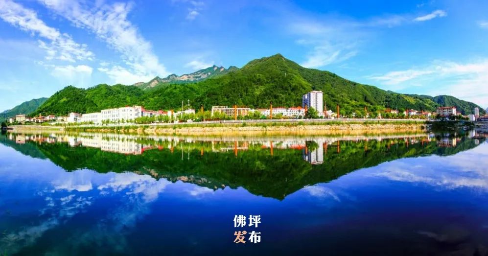 佛坪县重点产业链招商推介会暨2024秦岭大熊猫生态旅游季活动在西安举办