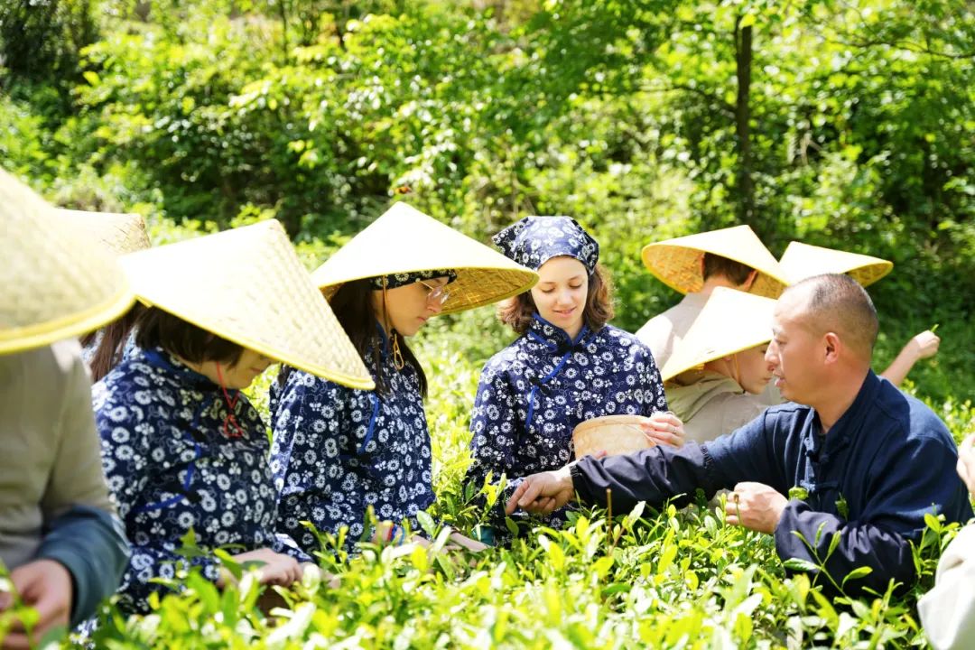 成都彭州：文旅市场活力十足、繁荣火热