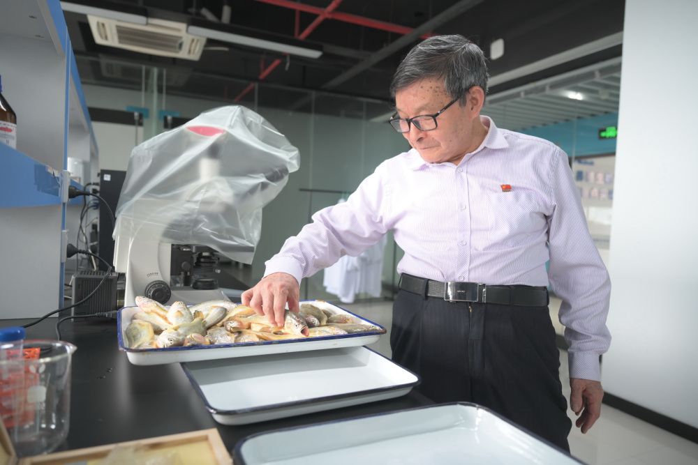 丰富食物“资源库” 唱好农业“山海经”——福建深入践行大食物观的经验启示