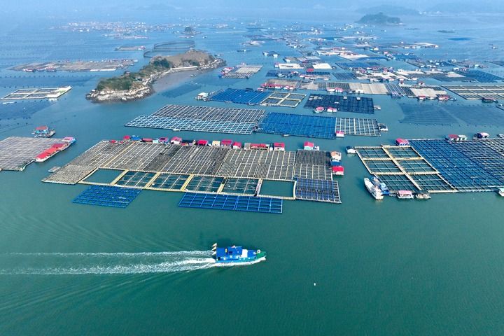 丰富食物“资源库” 唱好农业“山海经”——福建深入践行大食物观的经验启示