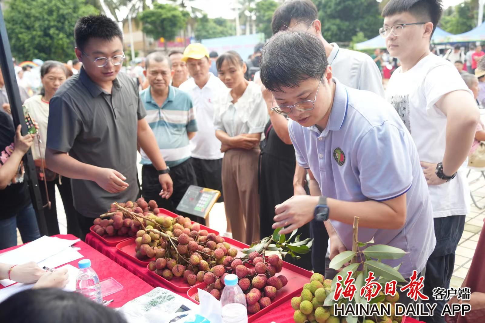 海口市三门坡镇举办火山荔枝月5·20荔枝节活动