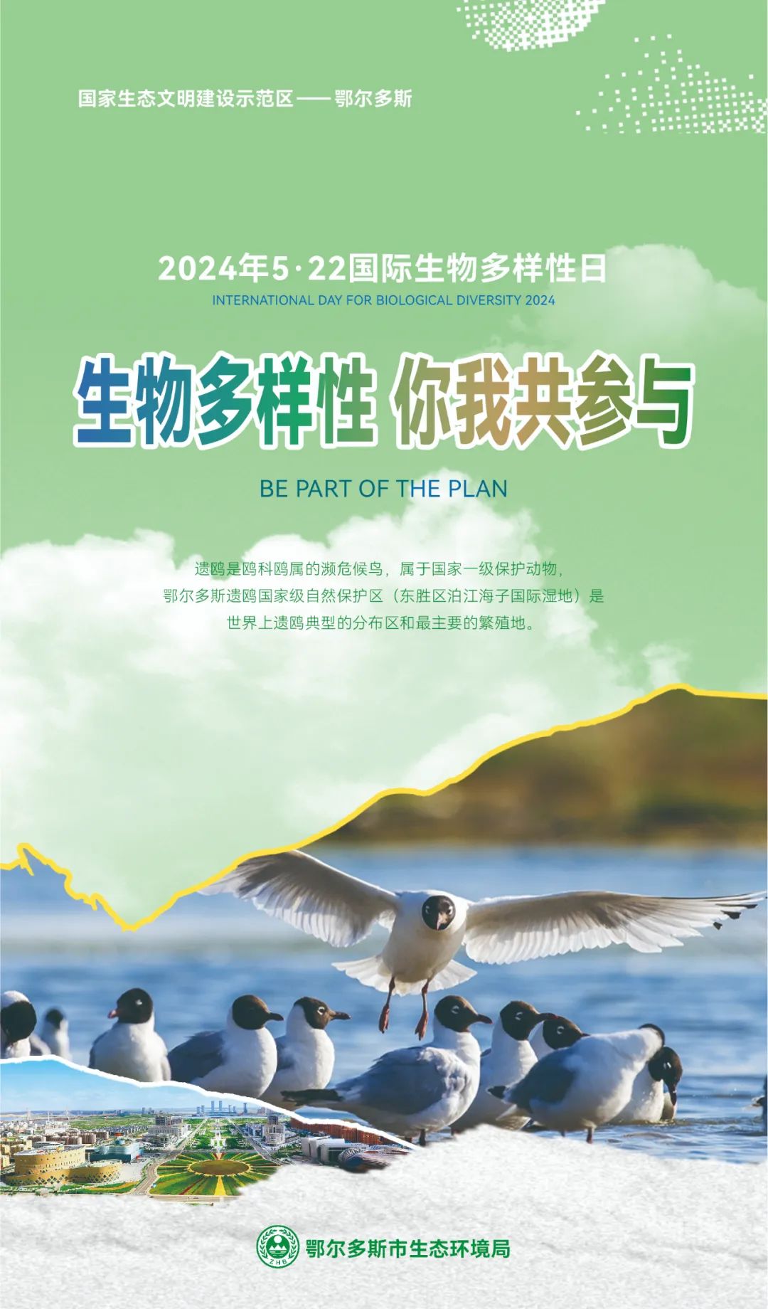 【5.22国际生物多样性日】鄂尔多斯市主题海报来啦