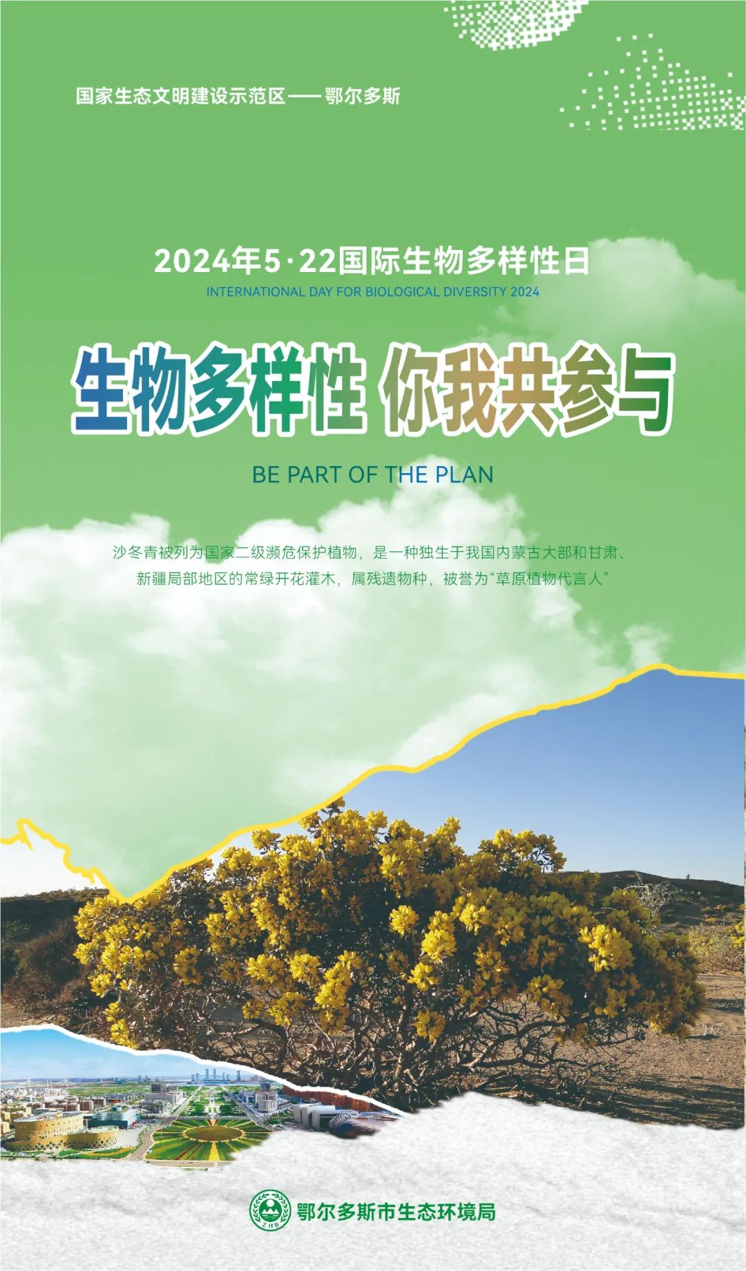 【5.22国际生物多样性日】鄂尔多斯市主题海报来啦