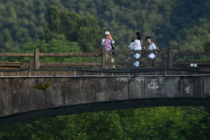 端午假期“新中式”旅行需求旺盛，重庆热度高