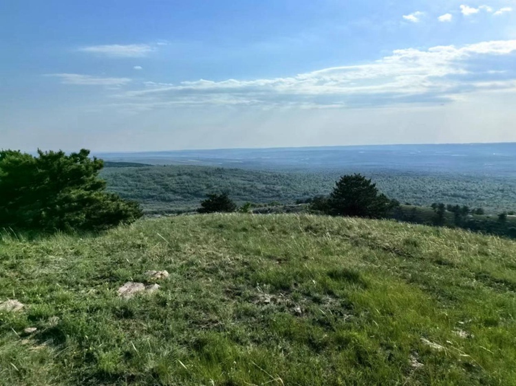 “万千气象看中国·北疆绿潮奔涌”网络主题传播活动在内蒙古呼和浩特启动 “万千气象看中国·北疆绿潮奔涌”网络主题传播活动在内蒙古呼和浩特启动