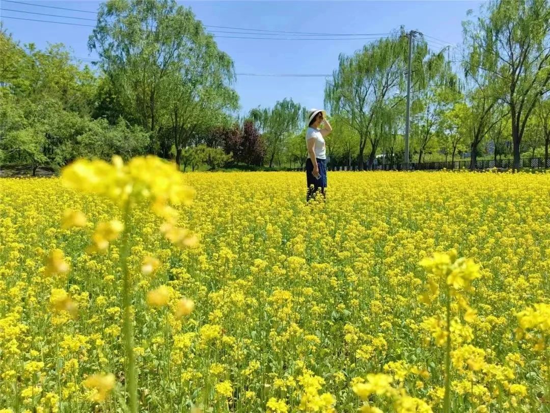 迎立夏，启新程，生命由此蓬勃