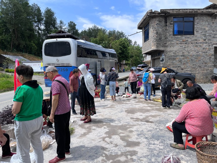 坐着旅游大巴去赶集：一条带有“乡村赶集”行程的旅行线路，串起城与乡，实现购销两旺