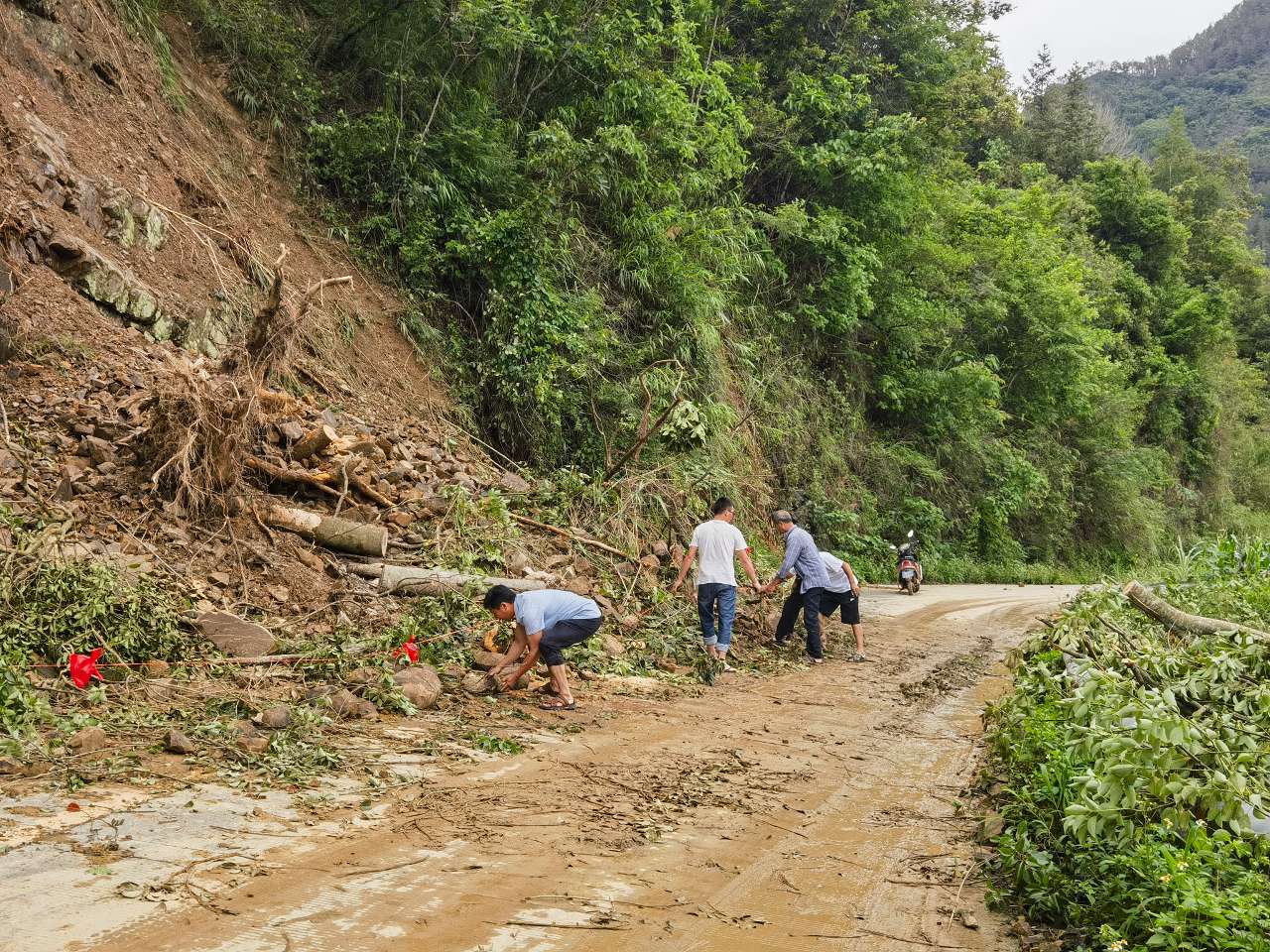 广西凤山县：全力以赴做好防汛抢险救灾