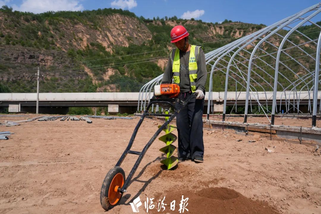 菌光互补！临汾这里将打造大型食用菌产业园