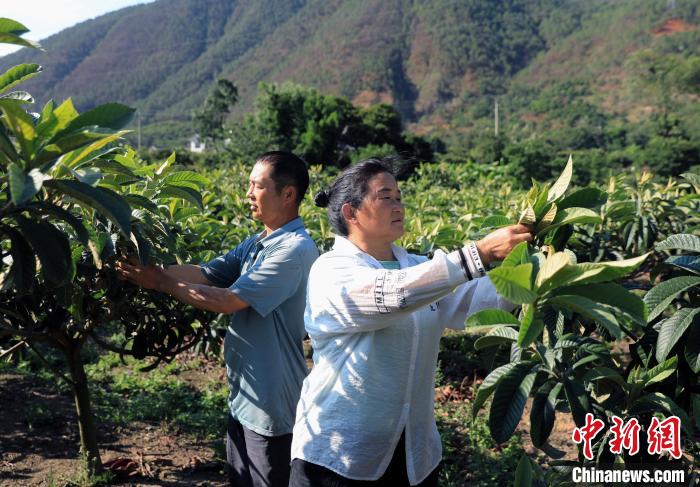 探访四川民族地区：“各民族像石榴籽一样紧紧抱在一起”