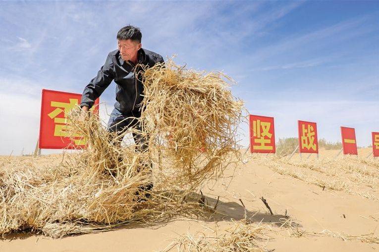 【万千气象看中国·北疆绿潮奔涌】治沙的“磴口模式”