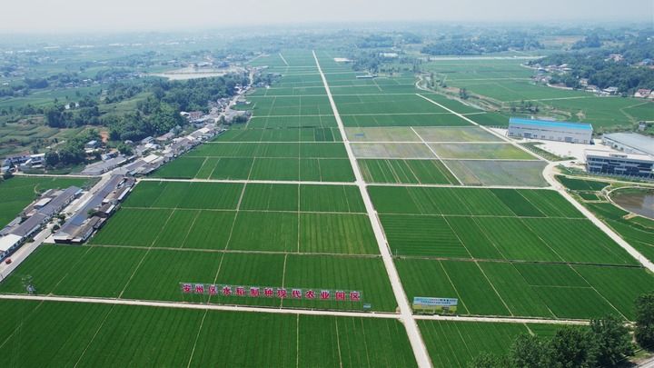 更好扛起粮食生产的重任——“天府粮仓”新实践扫描