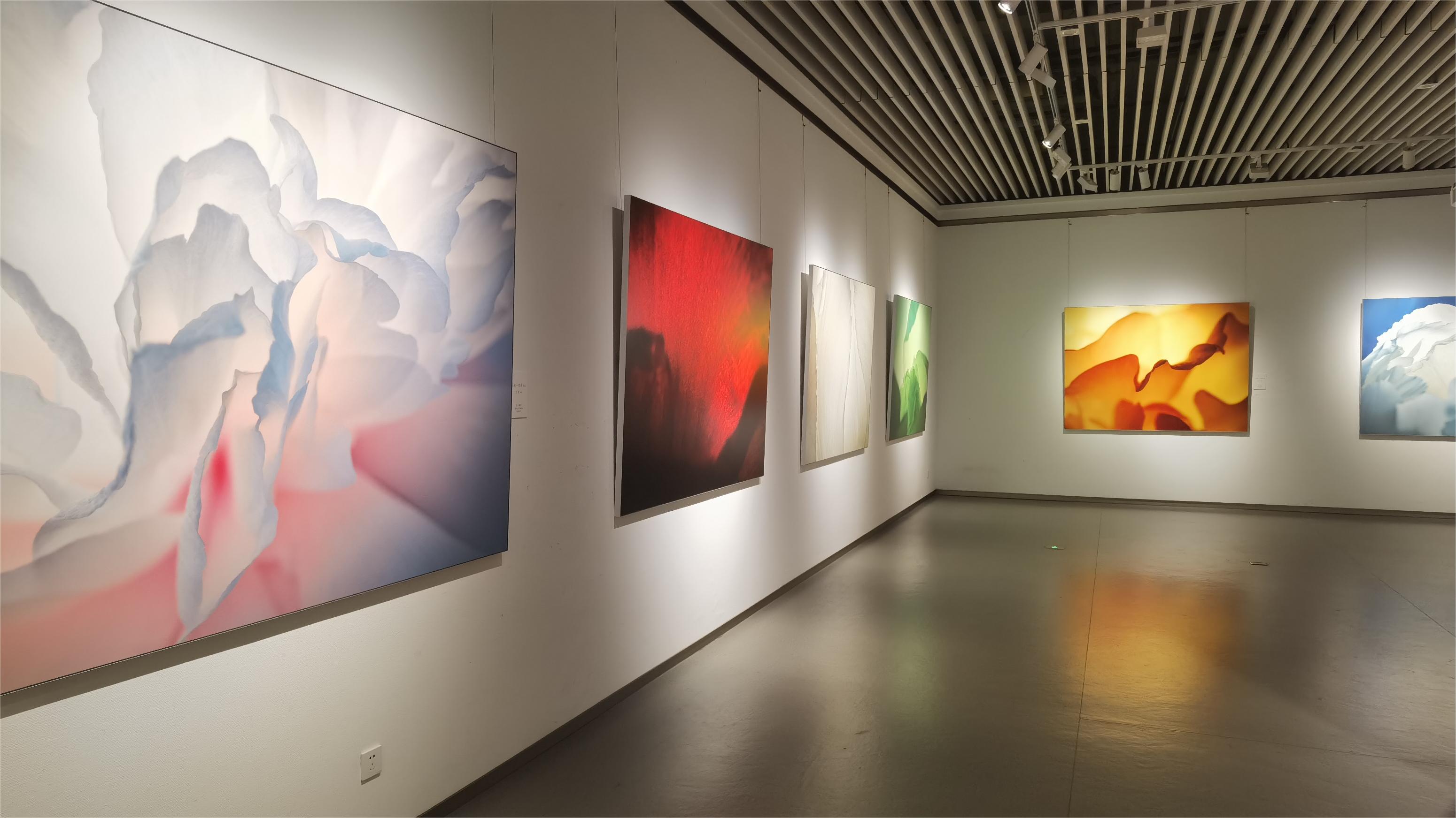 王昆峰《国色·九歌》影像艺术展在郑州开幕