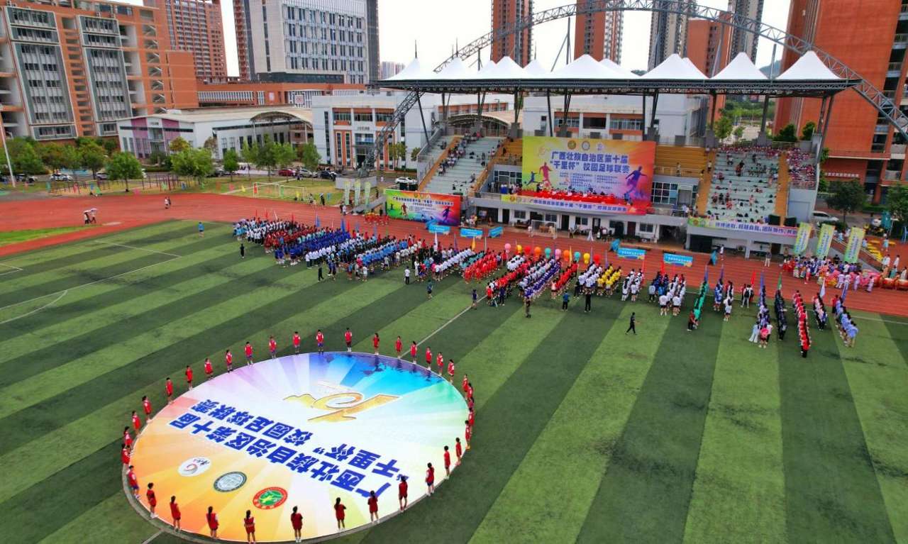 南宁市西庄路小学,广西古琴文化研究会,广西电力职业技术学院大学生