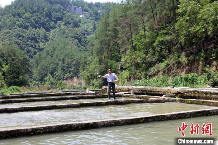 重庆：昔日贫困村依靠冷水鱼“游”出致富路