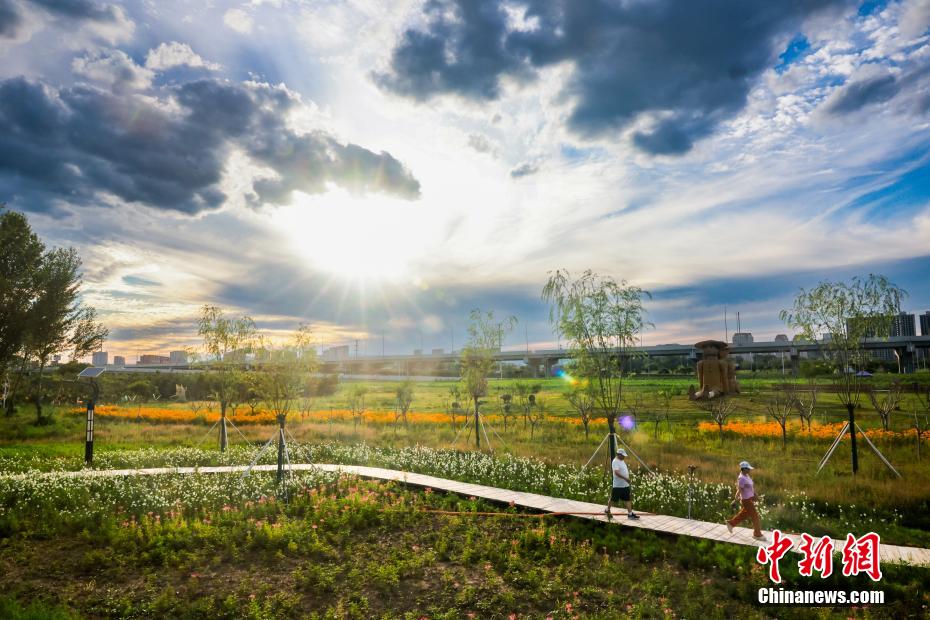 赴一场草原夏之约：看花、赏日落