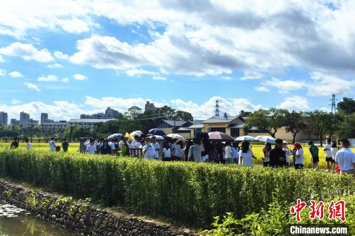 长征路上学党史｜赣南苏区红色旅游“圈粉”更“圈心”