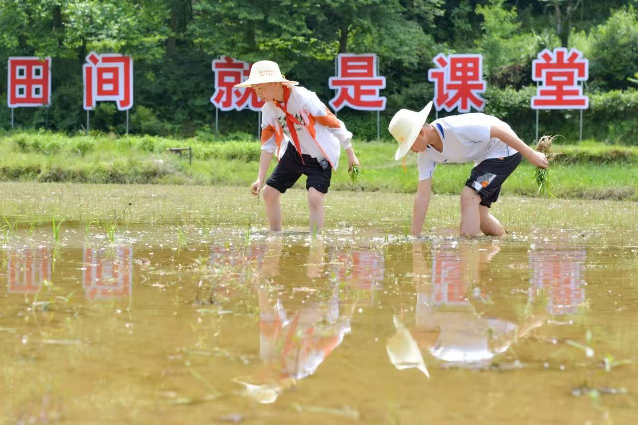 2024年五峰县人口_茶乡问茶——来自湖北省宜昌市五峰土家族自治县的调查