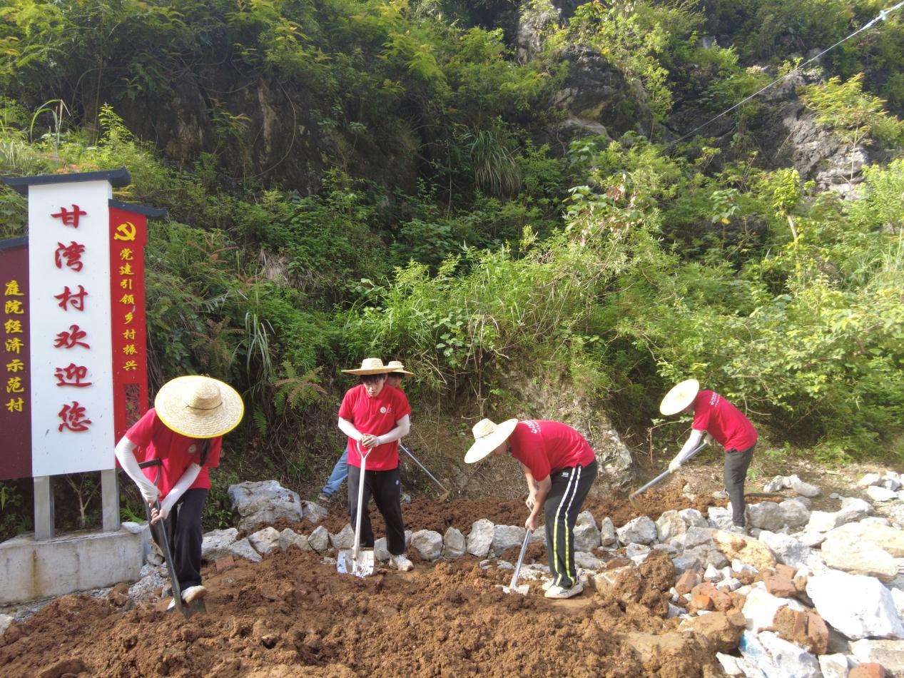 广西建院实践团:乡建使者助振兴 丛获新生美家园