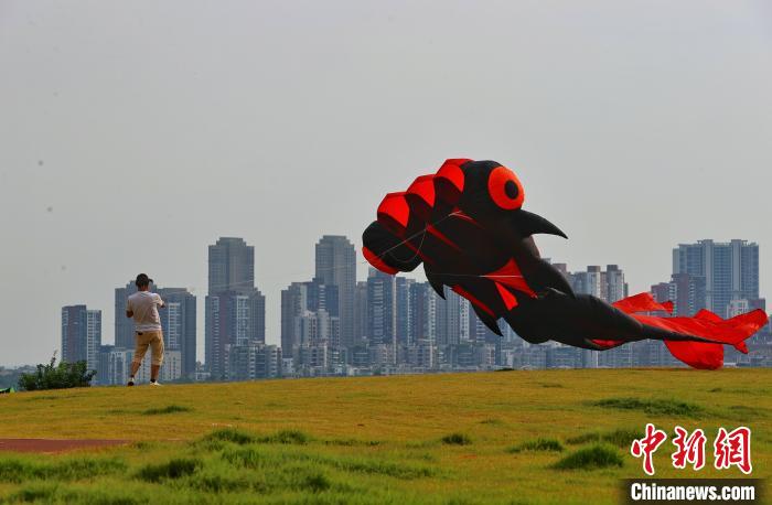 湖北武汉：放风筝享受夏日清凉