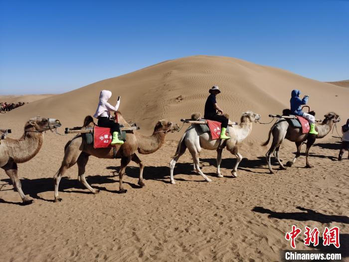 （铸牢共同体 中华一家亲）共同写好宁夏文旅融合发展大文章