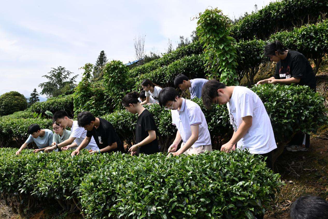 广西农职大学子：执少数民族文化之笔，绘民族团结进步同心圆