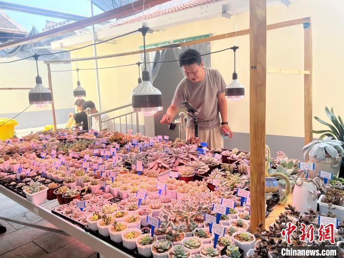 （身边的变化）“千万工程”晋城实践的“变”与“不变”