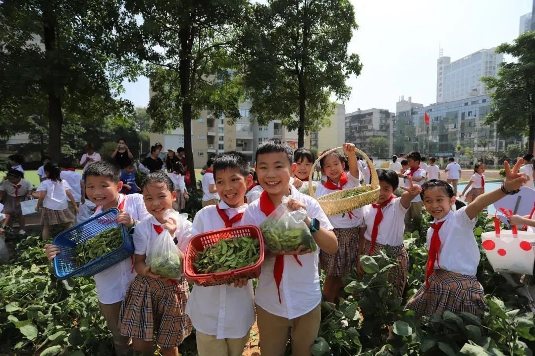 福建：以改革激活职教“一池春水”