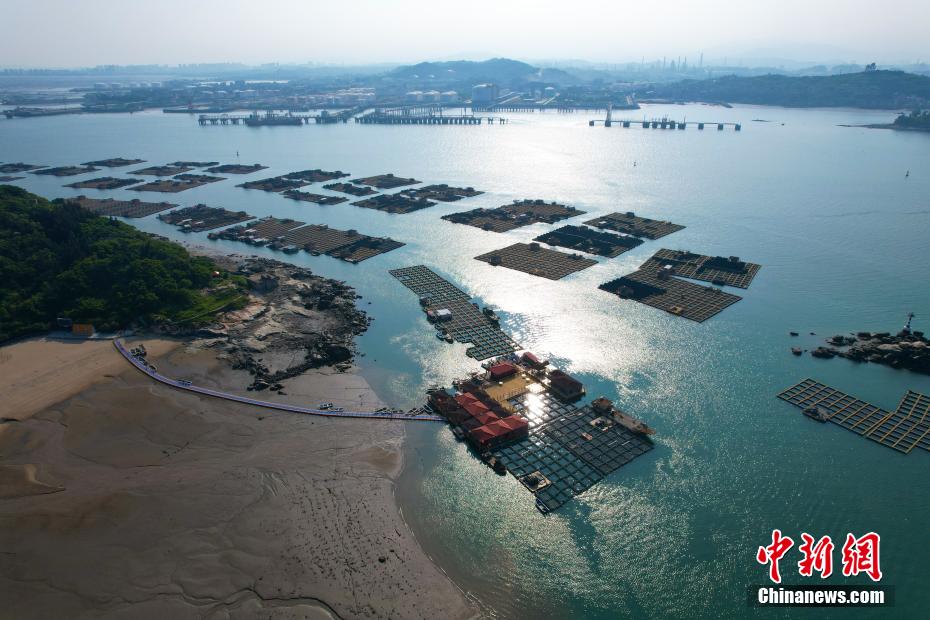 航拍福建泉港惠屿岛