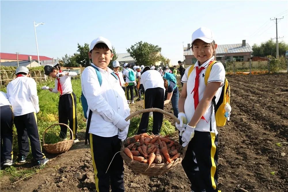 黑龙江：集聚高教力量培育新质生产力 | 各地教育成就巡礼