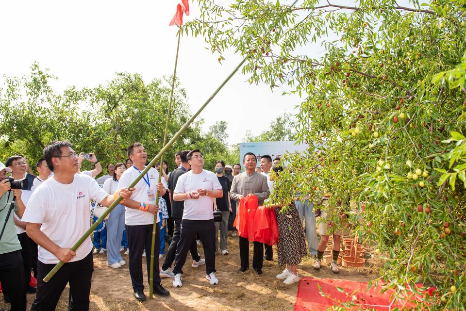 鲁渝携手谋发展,鲁渝“枣乡会”文化旅游节在山东乐陵举办