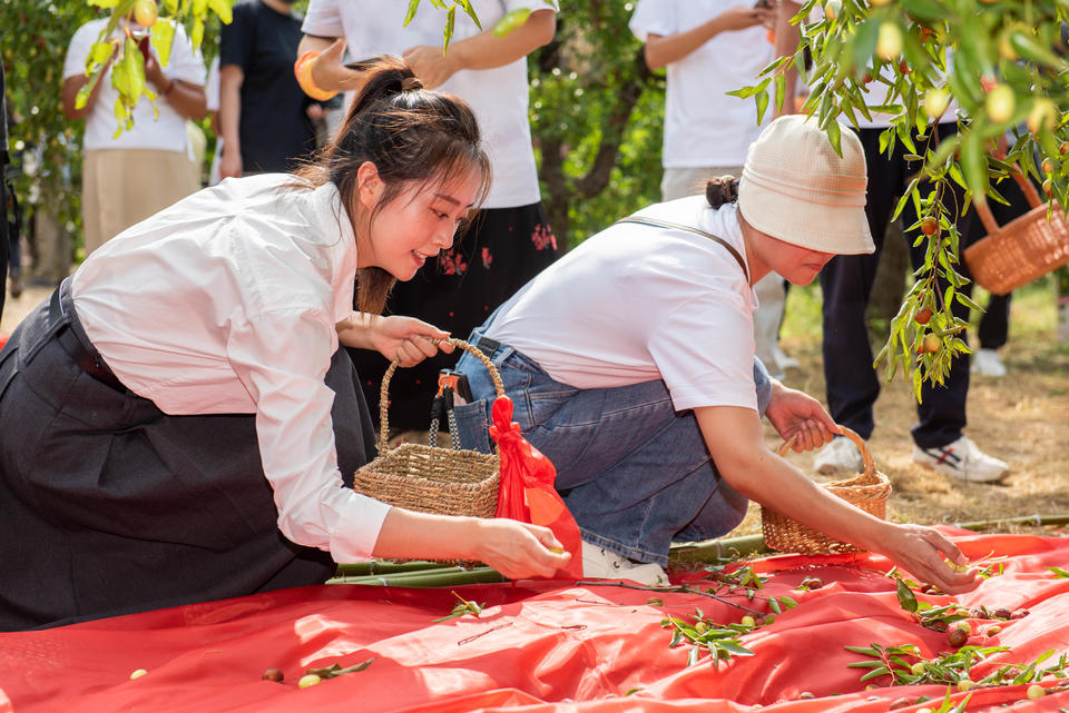 鲁渝携手谋发展,鲁渝“枣乡会”文化旅游节在山东乐陵举办