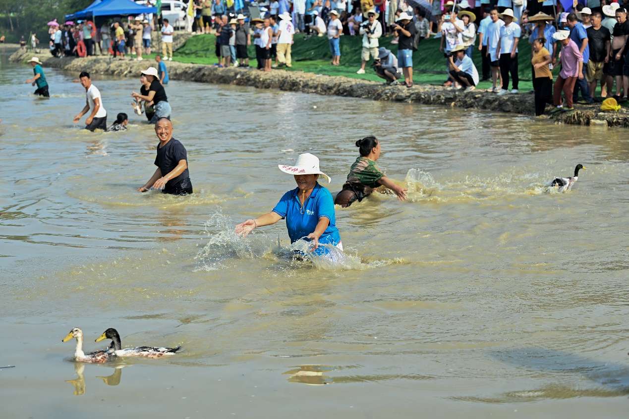 湖北来凤第三届农民种子丰收节举行