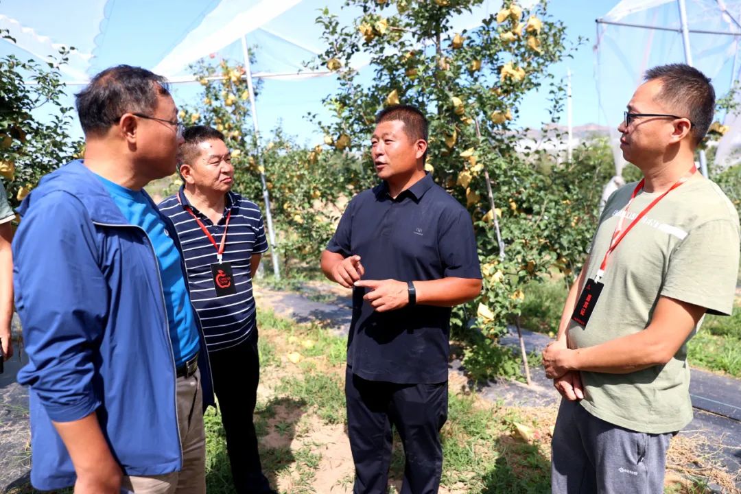 山西大宁宁脆苹果观摩交流会成功举办