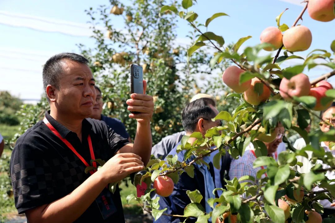 山西大宁宁脆苹果观摩交流会成功举办