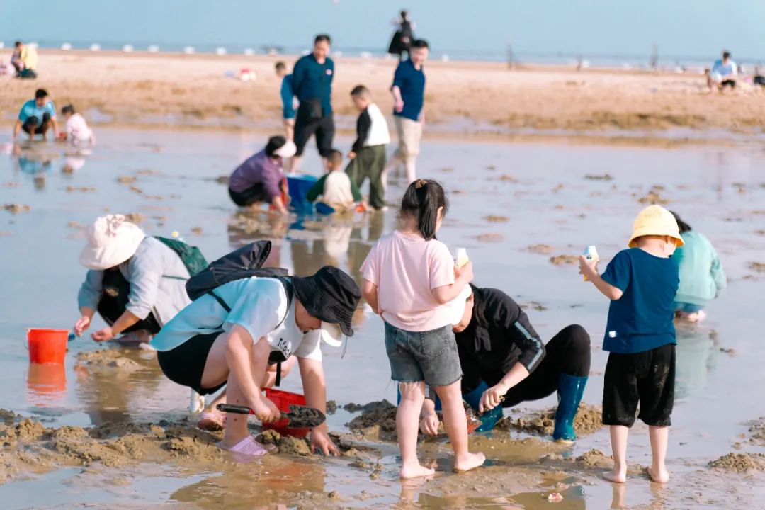 这个中秋，你想赶海吗？一定要选日照！