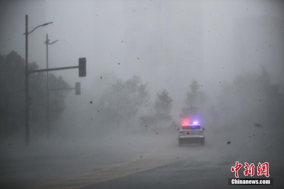 台风“贝碧嘉”登陆上海 申城市区狂风骤雨