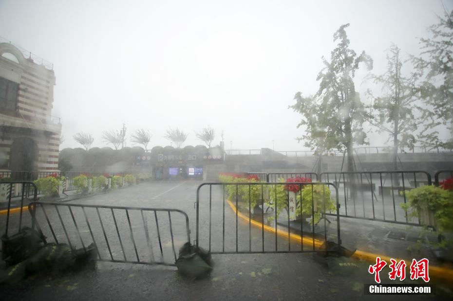 台风“贝碧嘉”登陆上海 申城市区狂风骤雨